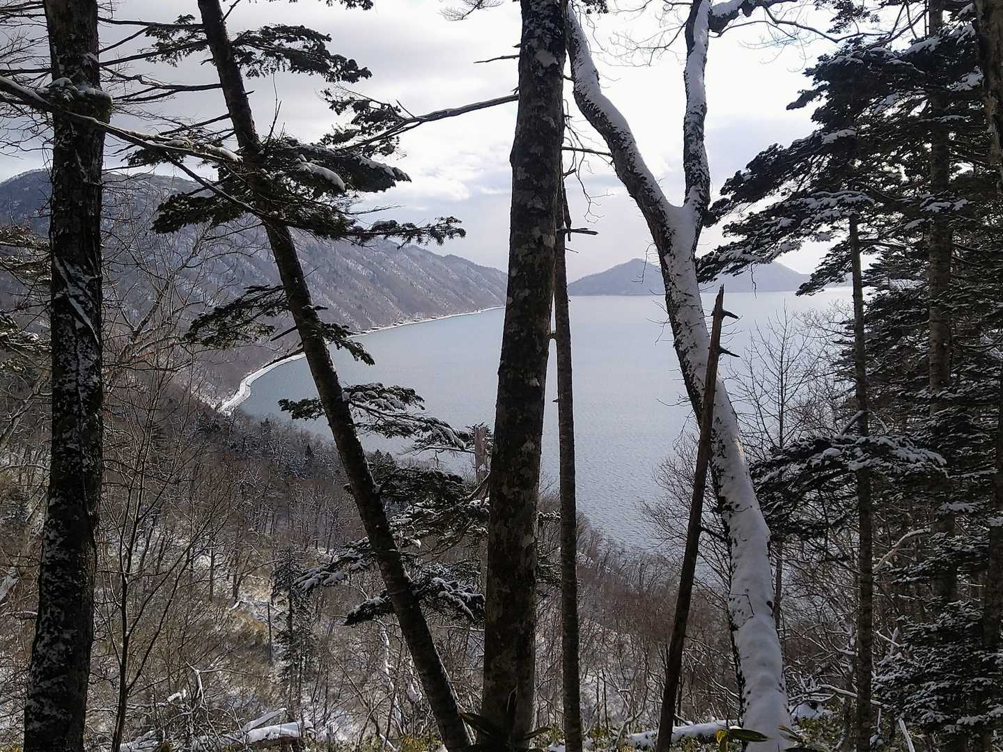 イチャンコッペ山登山口-イチャンコッペ山-幌平山 周回コースの写真