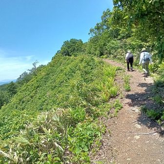 坂を上がれば開けたところ
山頂はこの先