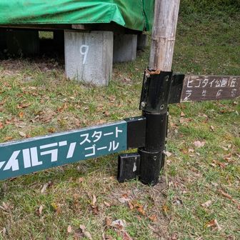 スタート地点に戻ってきました