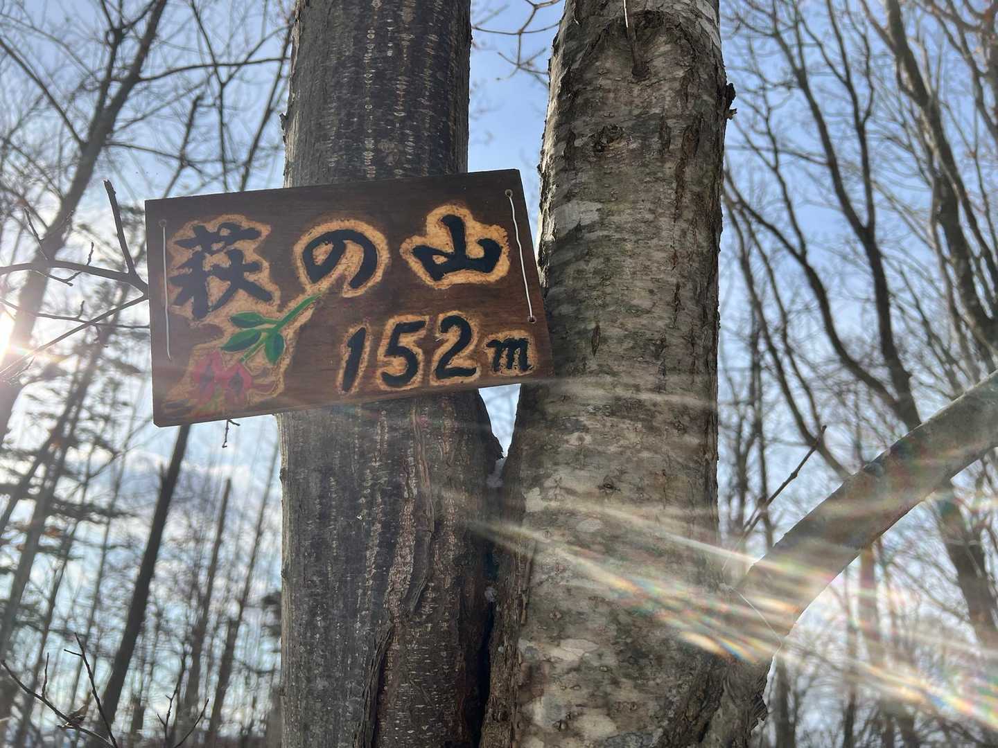 今まで山頂標識を見逃していた