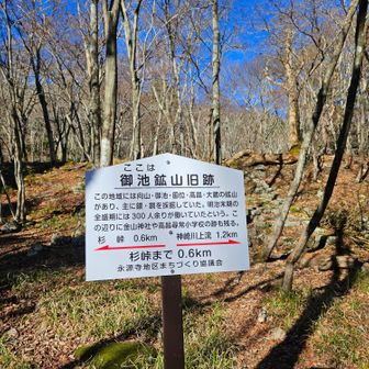 おかげさまで無事に行ってくることができました

頑張って歩いた先に拡がる苔の世界は　
ホントに綺麗でした🎶
また行ってみたいと思います

ありがとうございました♡