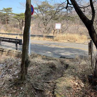 道路に出ます。