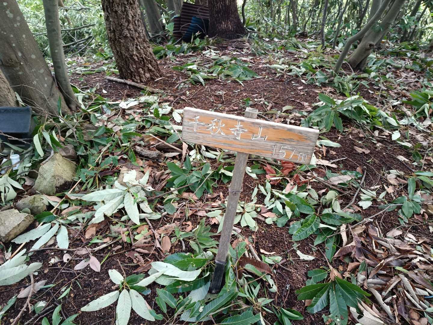 千秋寺山は・・・見晴らしは難しいですね