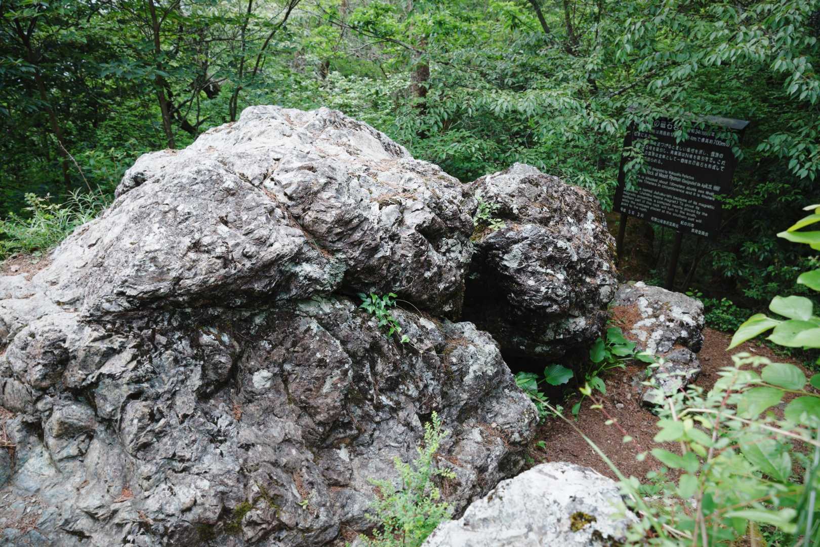 磁石岩🪨
その名のとおり岩全体が磁石なんだと🧐