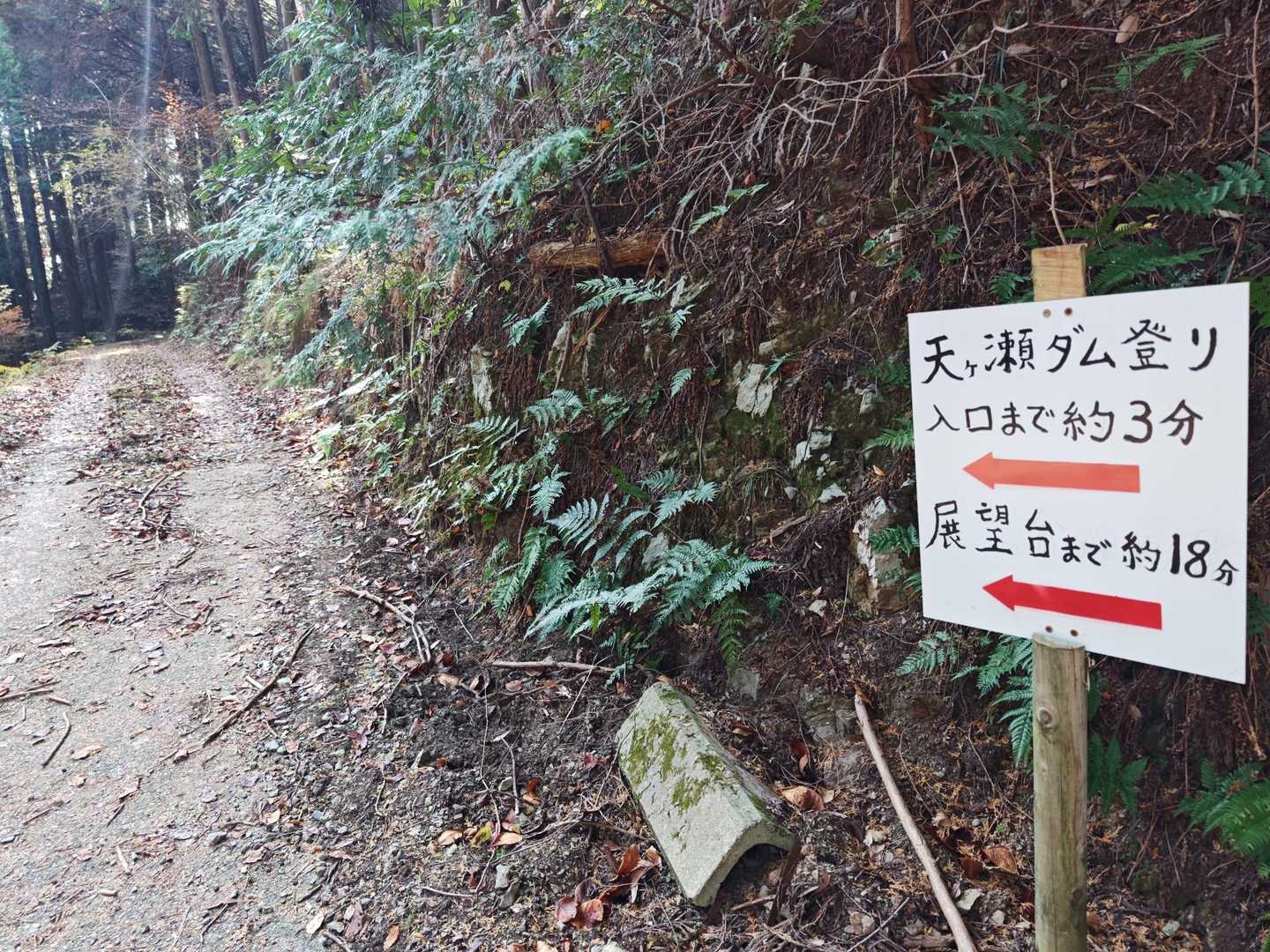 えっ、展望台てあったん?
いつ、どこに!?🤔