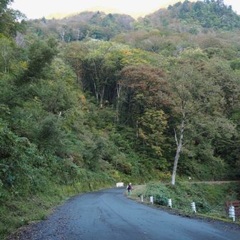 2日目登山スタート
車停めたところから3分ほど歩く