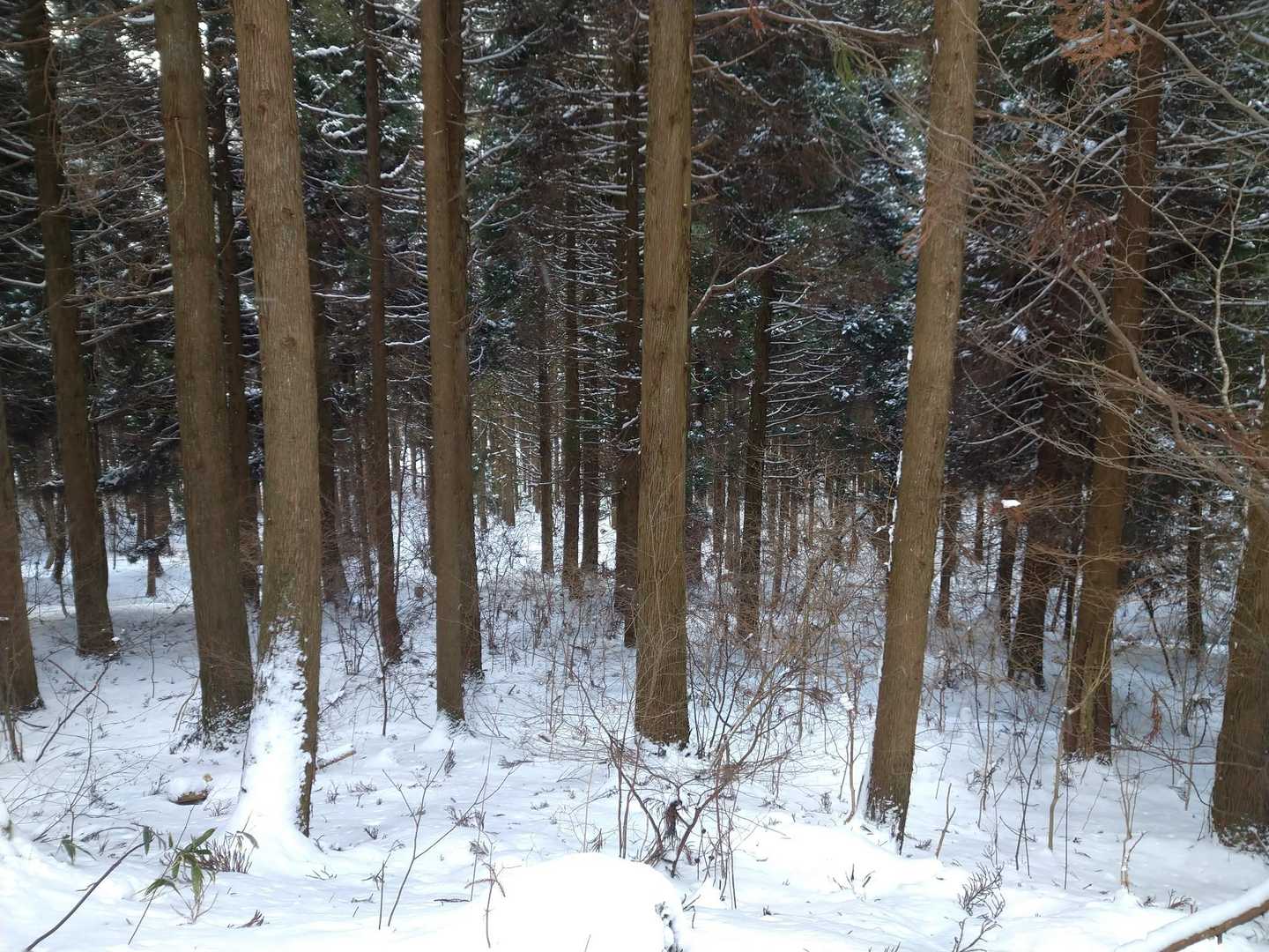 さっさと下山