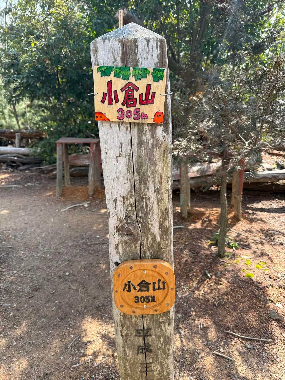 小倉山305m