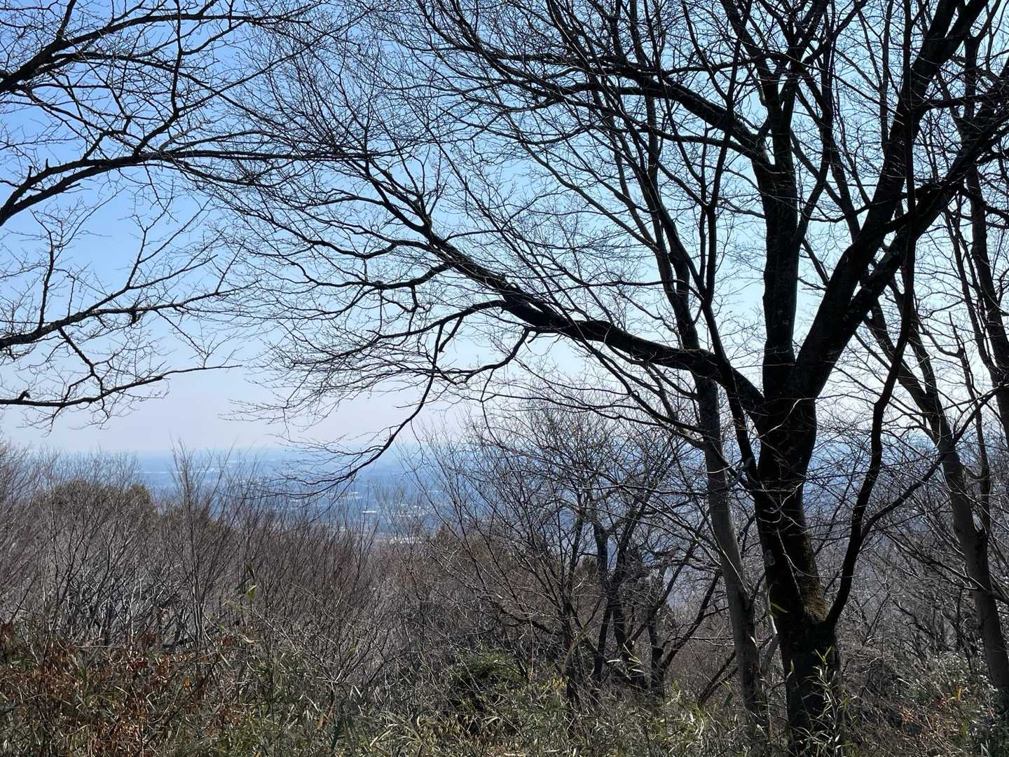 しかし、然程見晴らしが良い訳でもありせんでした😅