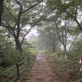 誰か上がってくる
足音が聞こえた
気がしたけど(｡･ω･｡) ｷﾉｾｲ?