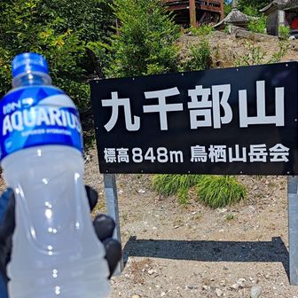 なんとか登頂
例のアレを途中で落とした可能性