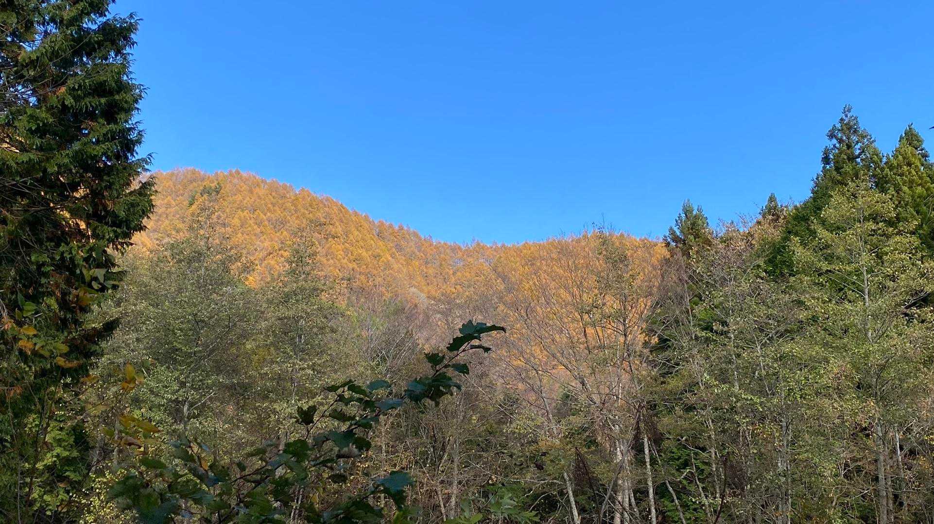 歩いてきたあたりかな