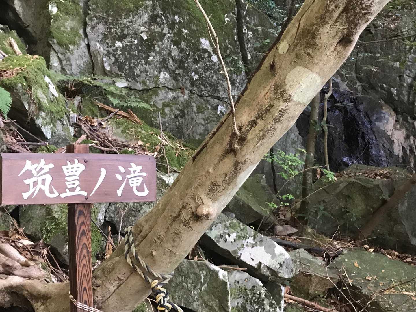 新名所