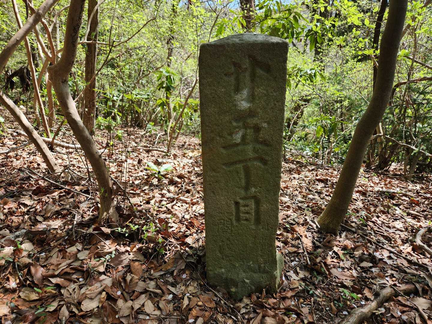 福原駅-吾国山-道祖神峠-難台山-大福山-団子石峠-南山- 縦走コースの写真