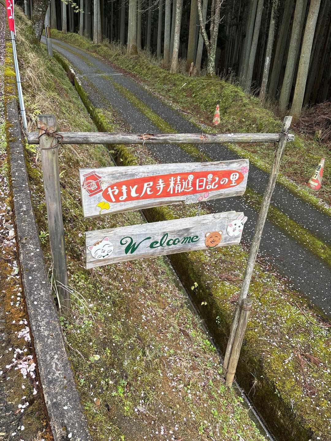 ここY字に分かれてて『左側はすごい急坂やから嫌やな』と思ってたら、そっちがルートでした😢