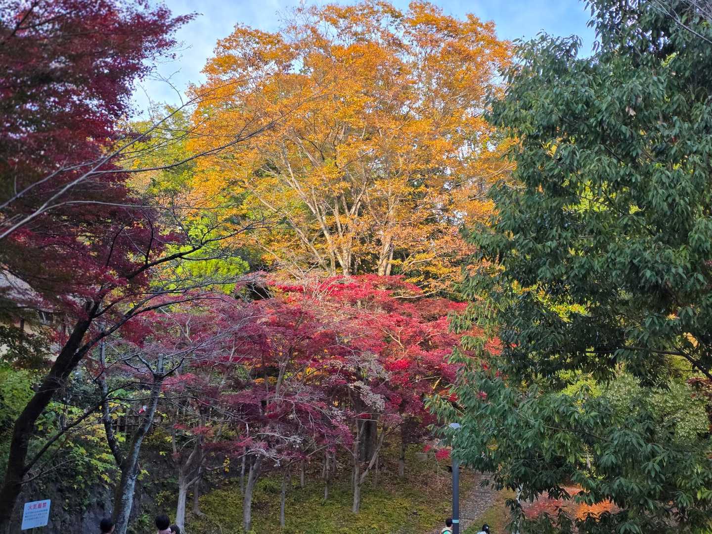 生田緑地 東口-枡形山 往復コースの写真