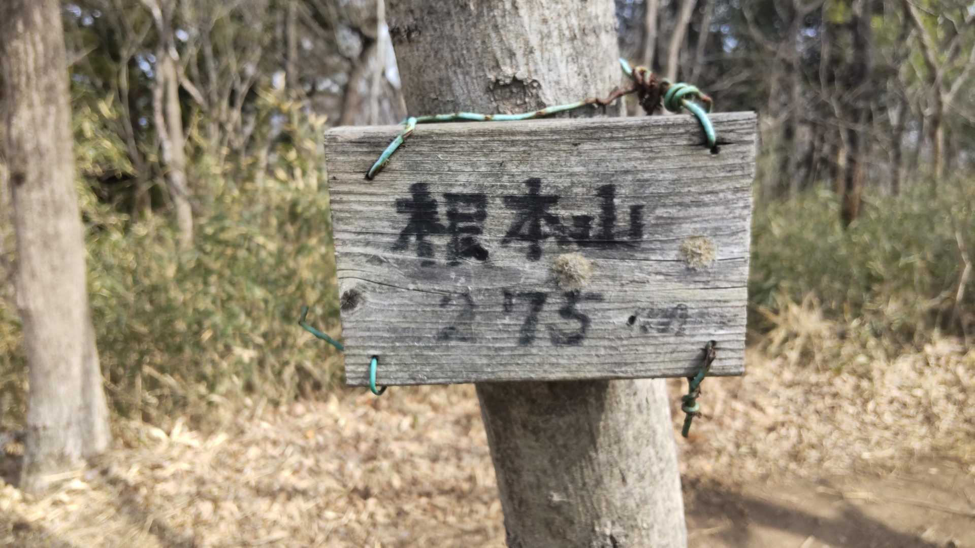 茶臼山へは、
まず根本山ヘ