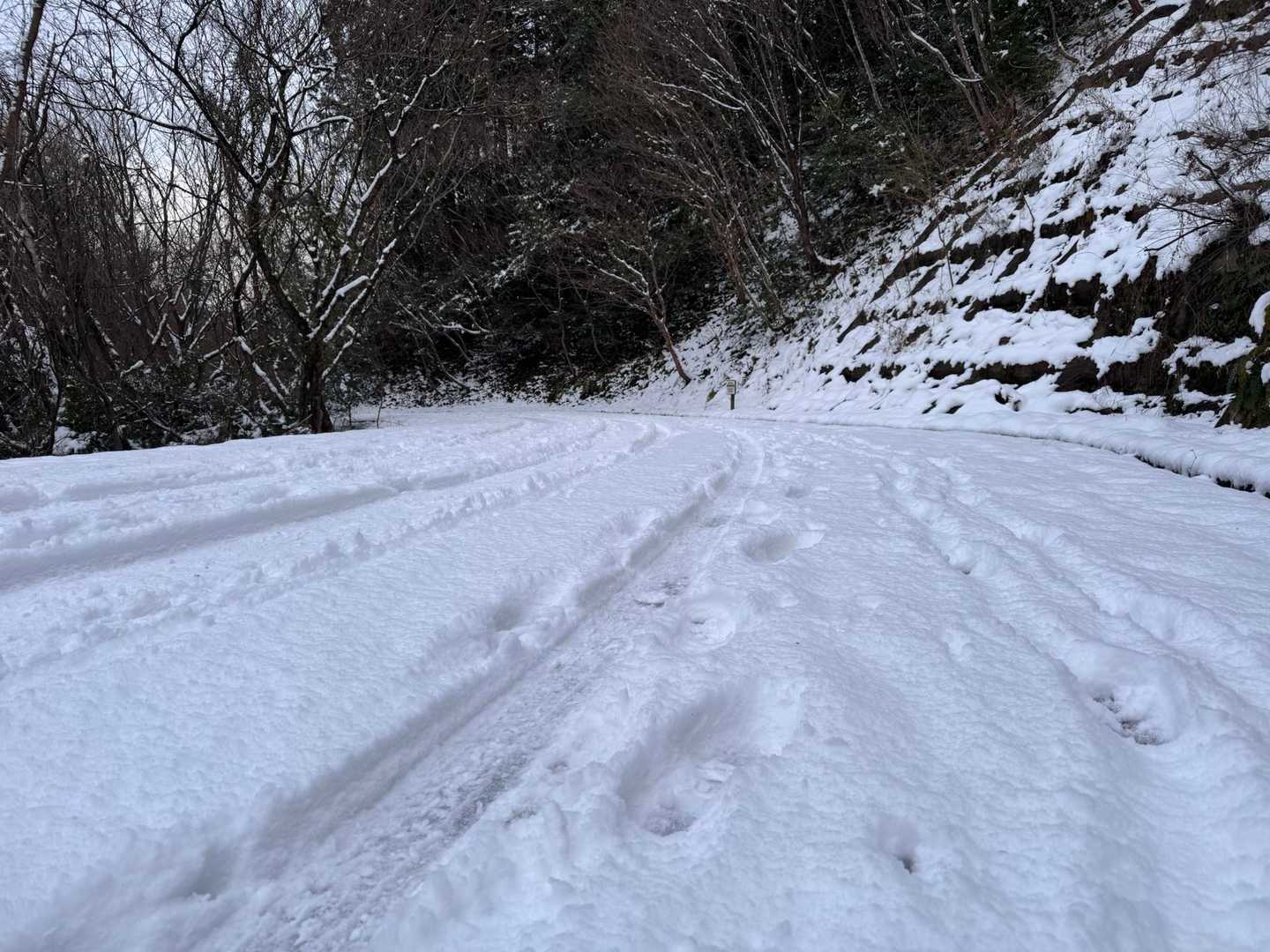 なんか楽しかったな
よかった、よかった