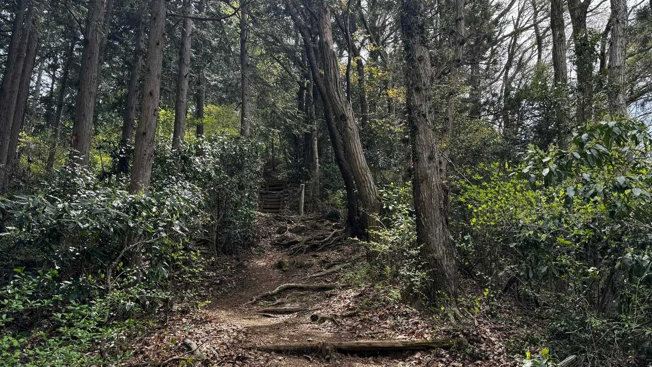 南高尾セブンサミッツ（大洞山・コンピラ山・中沢山・入沢山・泰光寺山・榎窪山・草戸山） の写真 13