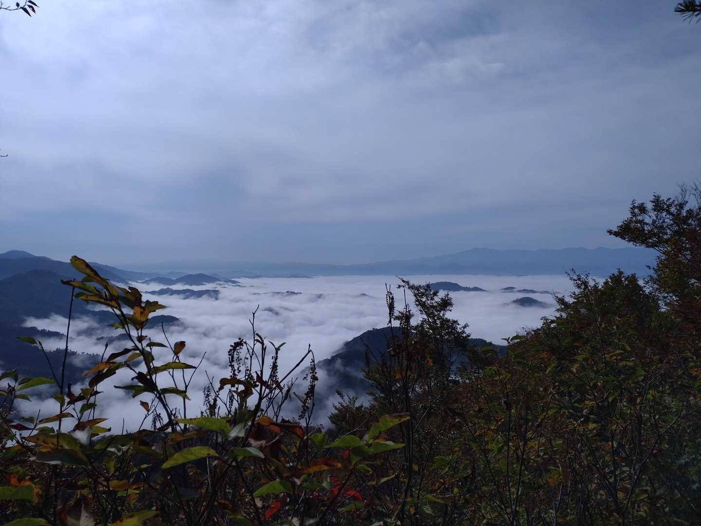 下界は見事な雲海です