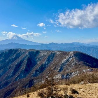 白谷小丸より
スマホでも綺麗や😍