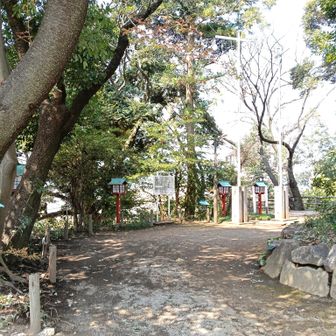 八坂神社  境内