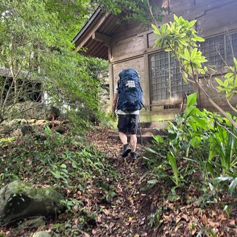 山頂手前で見たことある後ろ姿