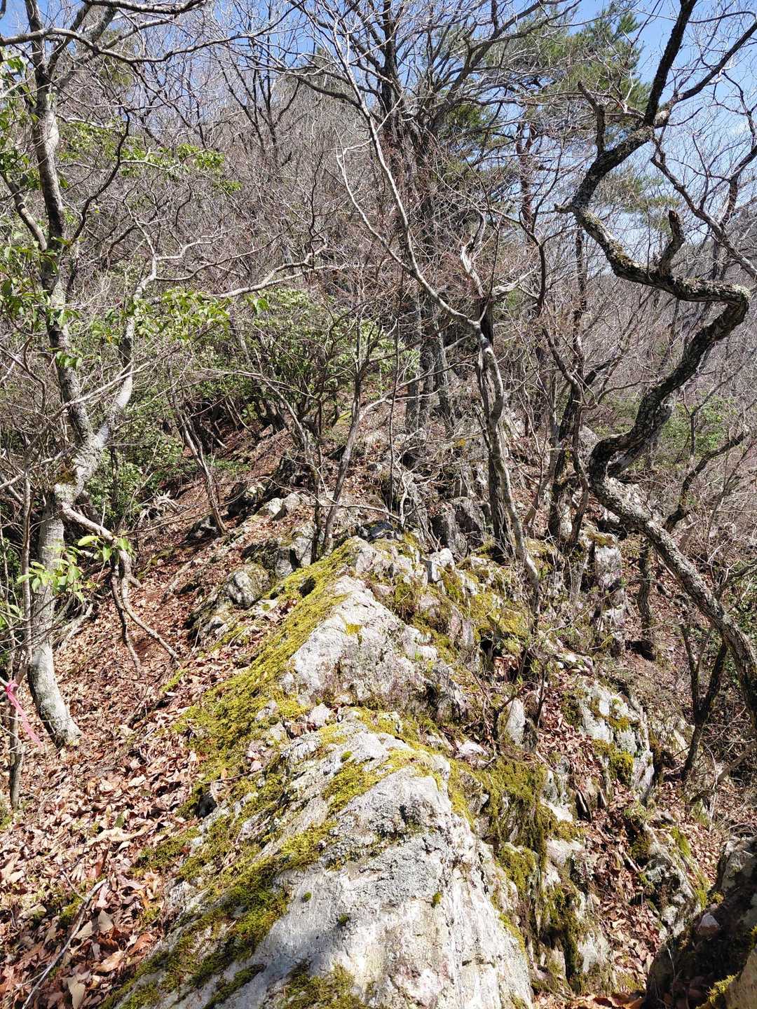 こんな岩尾根がいっぱい出てきて楽しい🎶