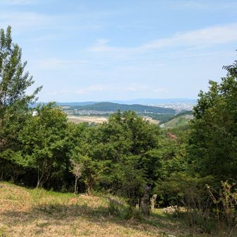 鉢伏山登頂