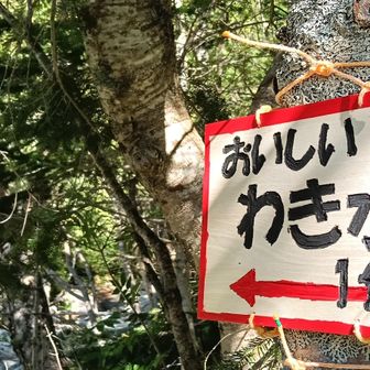 可愛らしい看板