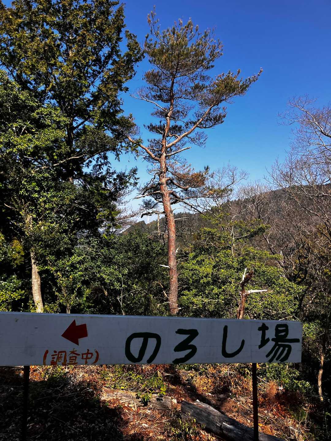 雨山　登山口-雨山山-屋床峰 周回コースの写真