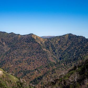 信州百名山　佐武流山。未踏。その奥が苗場山。