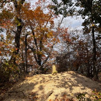 35　宋円山　207.3m
No.6　