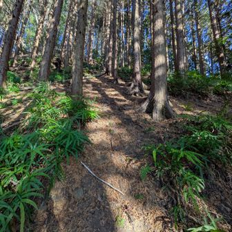 急坂ーーーー
なんだよー
なんじゃこりゃー😗
伝わりますか？