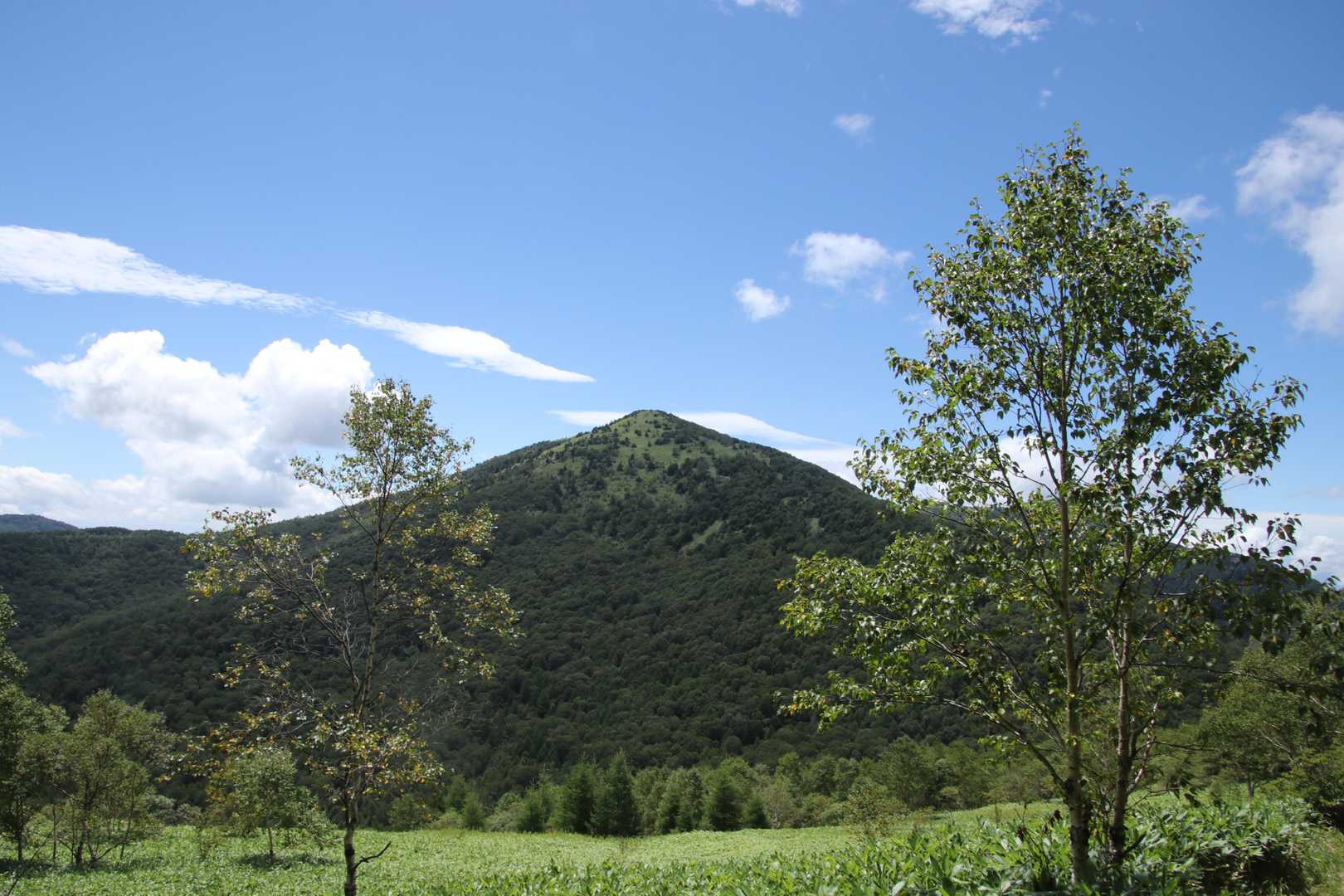湯ノ丸山は暑そう