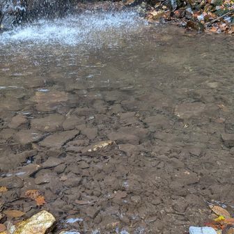 透明度半端ない