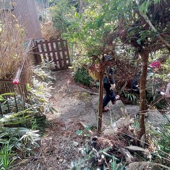 民家の庭先みたい💦右に