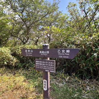 長尾山山頂標識をパチリ✨

標高だけなら少し高い場所がこの標識手前にありますがよくあること…｡
山頂からの眺望はありません😏