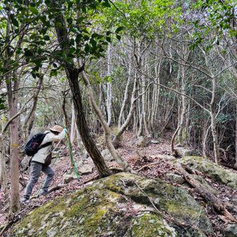 何度もの登り返しが辛い