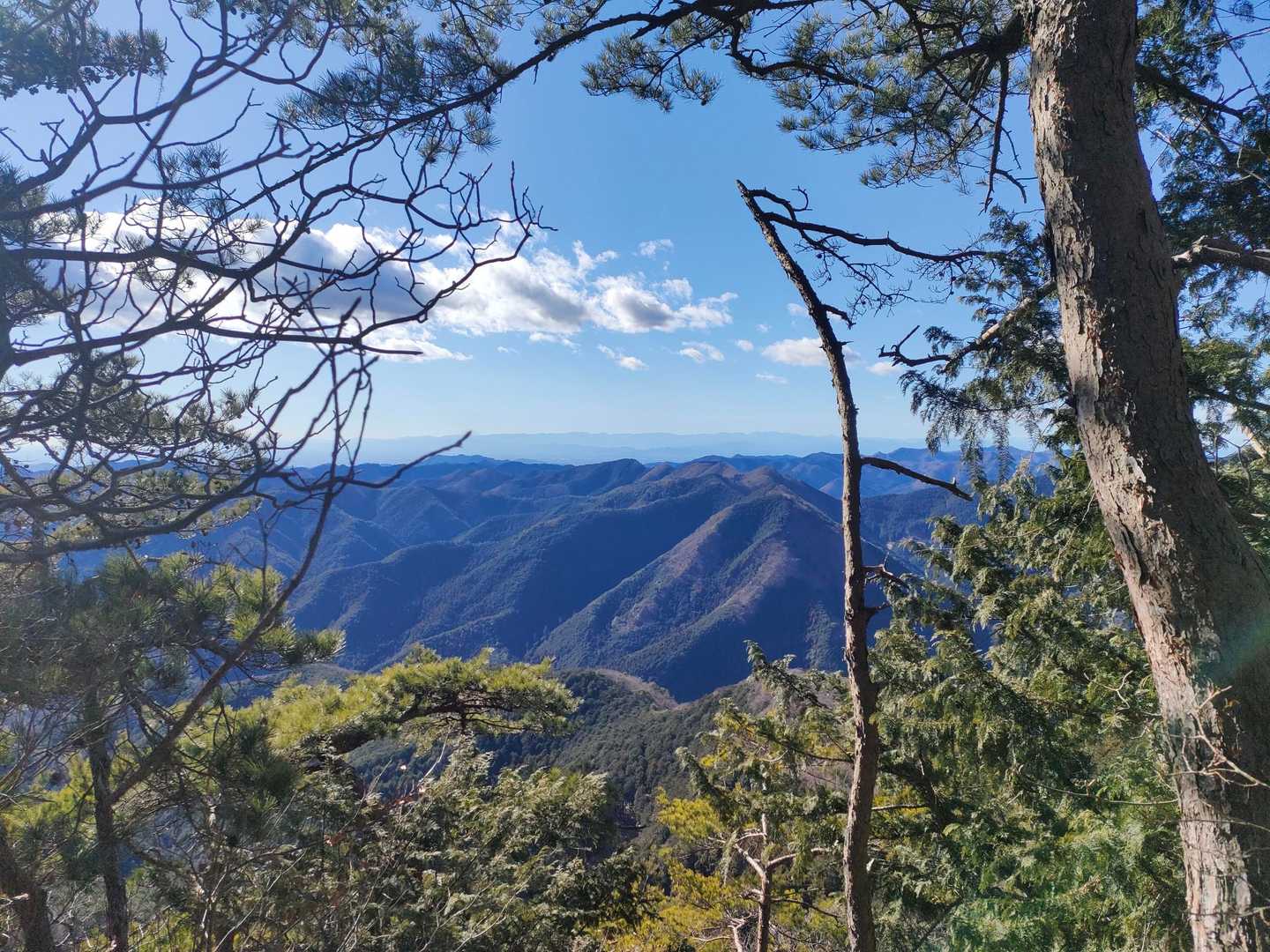 天気がいいね〜、しかも暖かい。

と思っていると背後から悲鳴が...