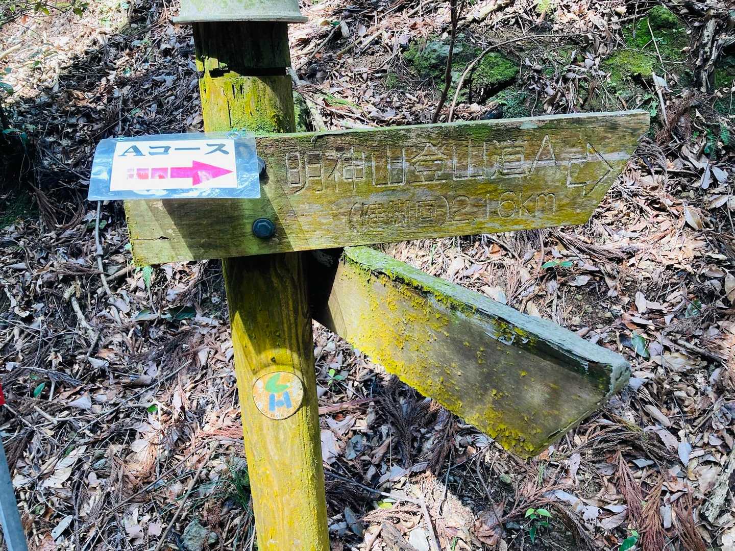 平和感溢れる林道に到着🫡
