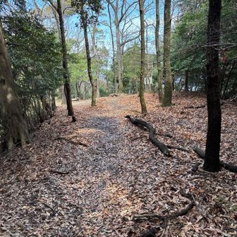 城山です
まあ、本丸の後みたいで