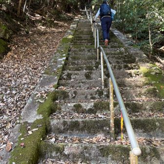 舐めていたが300段近くある階段がチョーきつい