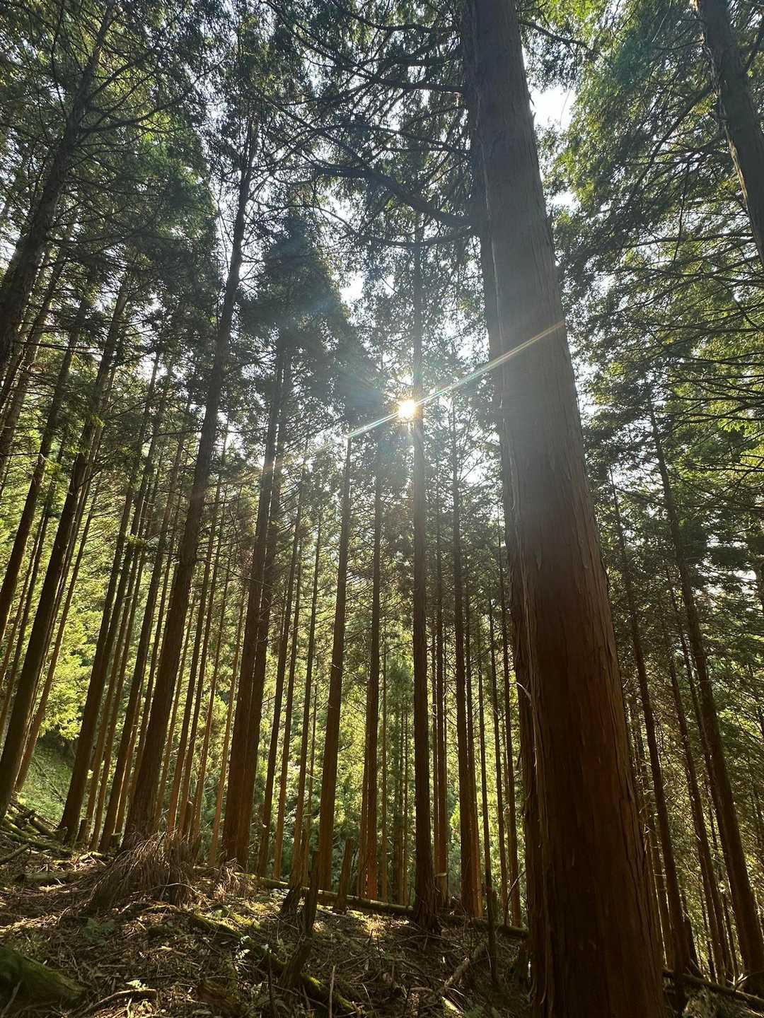 明神平-明神岳-判官平-桧塚-桧塚奥峰-前山-薊岳 周回コースの写真