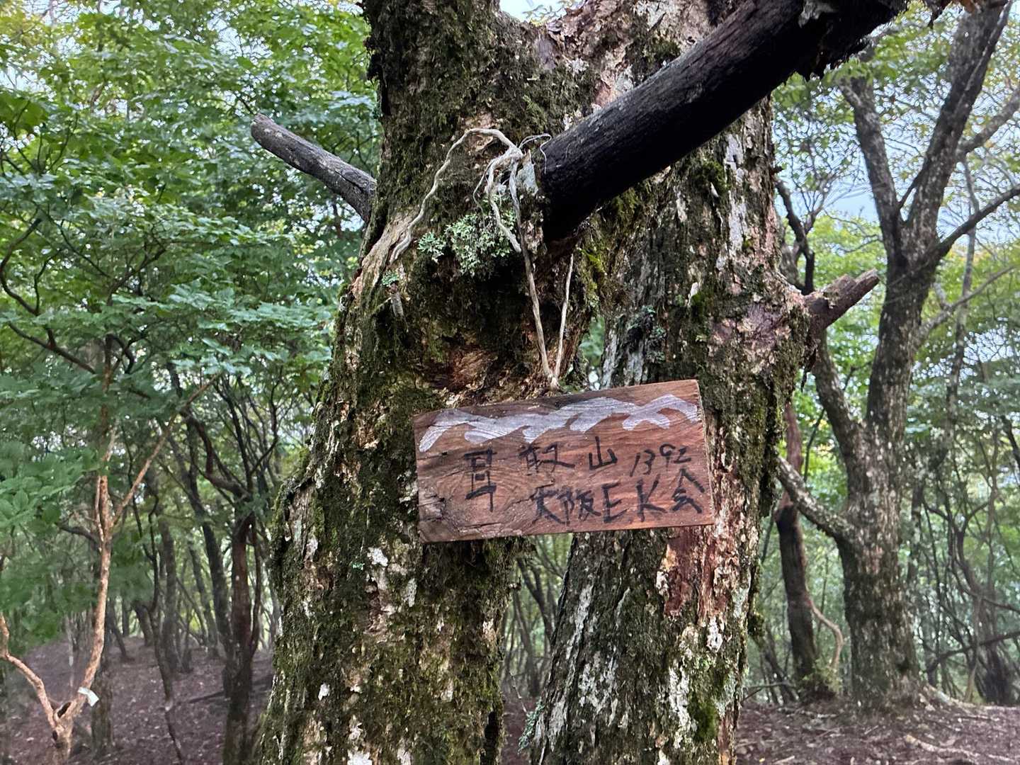耳取山着
