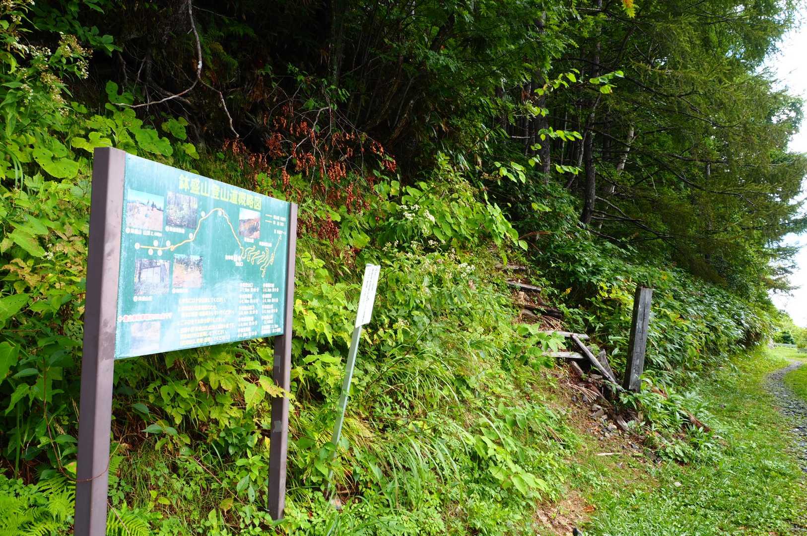 登山口からなかなかの急登