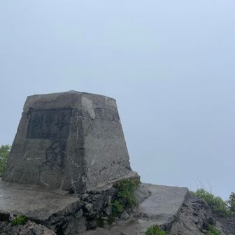 後ろ無加工でも真っ白😂