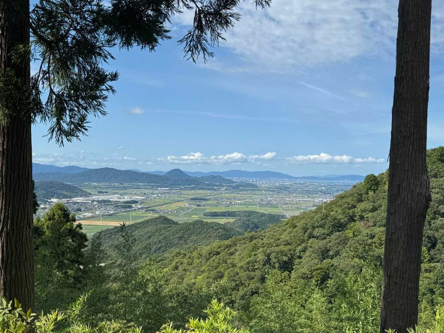 おお、いい景色👍