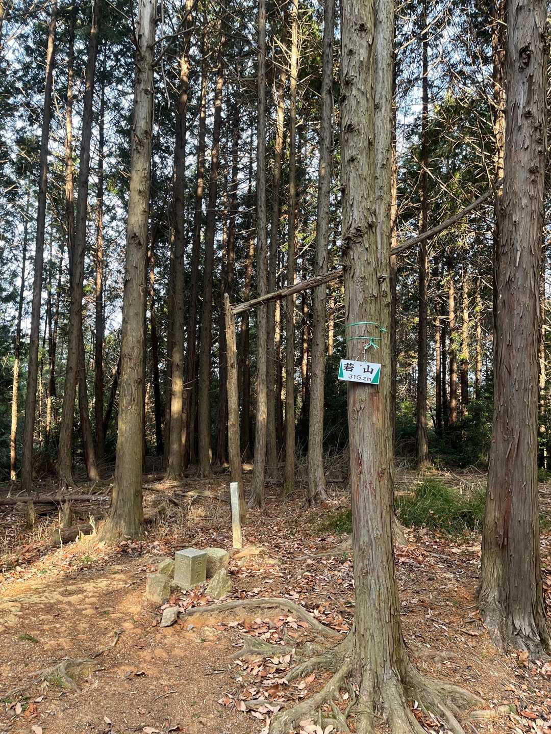 若山神社-若山 往復コースの写真