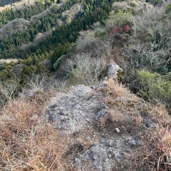 標識らしきものは
ありません。